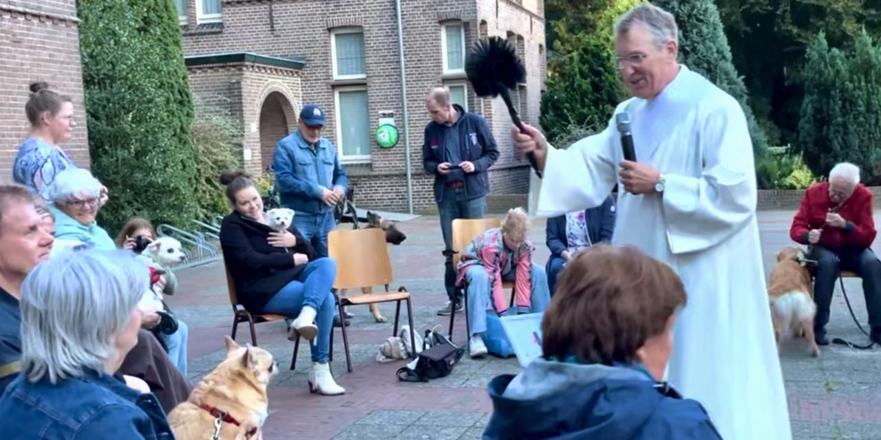Kwispelende bezoekers van de kerk gezegend op dierendag