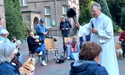 Kwispelende bezoekers van de kerk gezegend op dierendag
