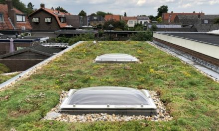 Subsidie voor groen dak in Amersfoort weer mogelijk