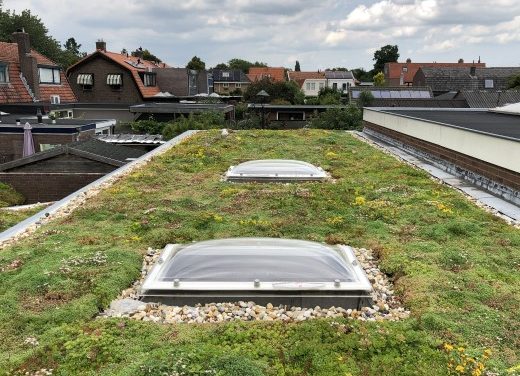 Subsidie voor groen dak in Amersfoort weer mogelijk