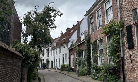 Meer aandacht voor kunst in museum Flehite dankzij open monumentendag