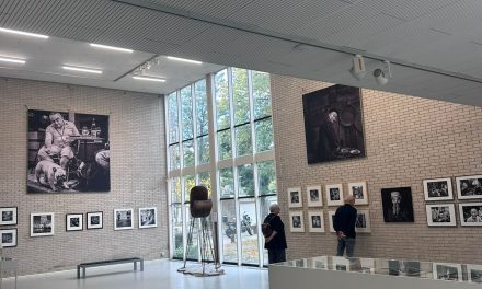 Vliegende kunst in het paviljoen