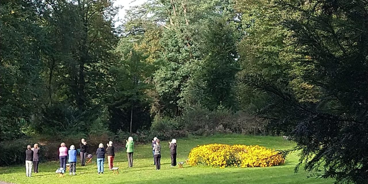 Open Les Taiji Qigong: eerste ervaring met Oosterse bewegingsleer