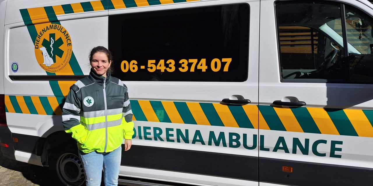 Een kijkje in het zijn van een vrijwilliger bij Dierenambulance Amersfoort