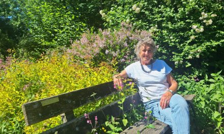 Werken in de vlindertuin haast meditatie voor Annelies Peters