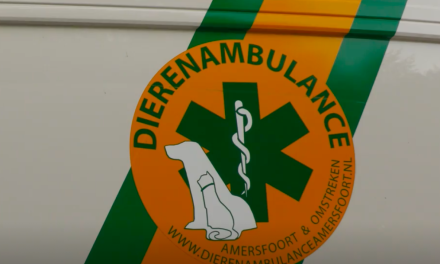 Willy Weeda ontvangt lintje voor inzet bij dierenambulance