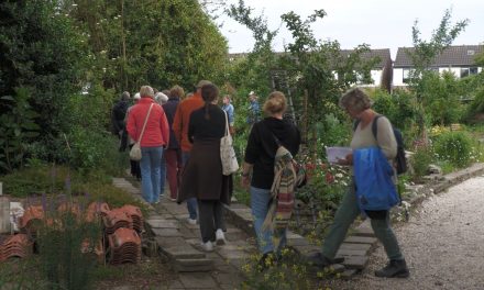 Op pad langs klimaatslimme tuinen: ‘Een groene tuin is een stap naar een beter klimaat’