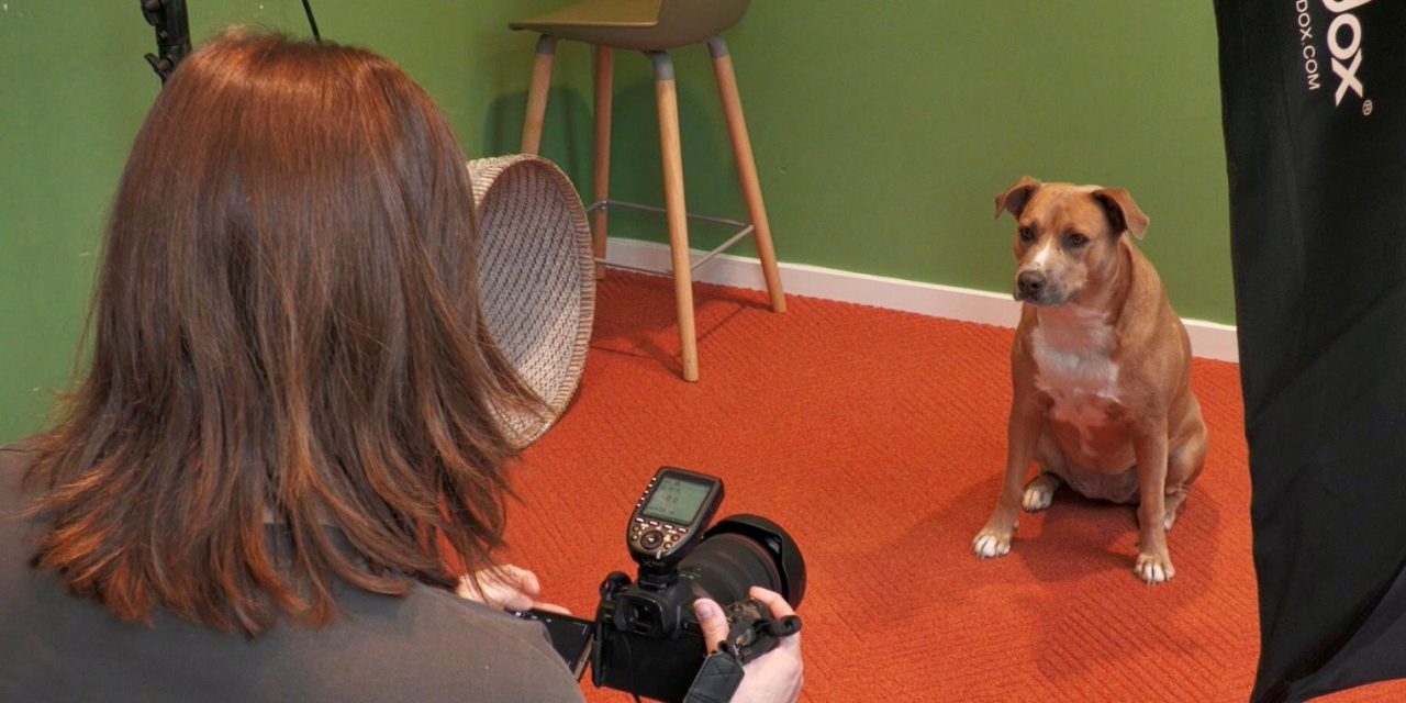 Gratis huisdierenshoot bij Univé Amersfoort