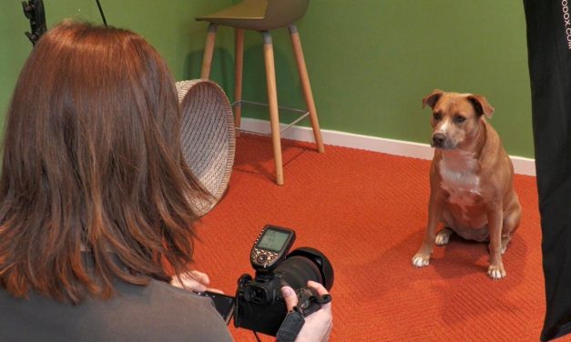 Gratis huisdierenshoot bij Univé Amersfoort