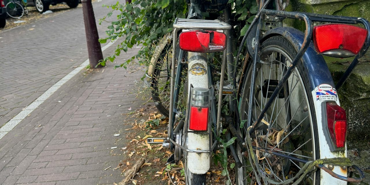 Fietsdag laat twee gezichten zien in Amersfoort: actie en beleid