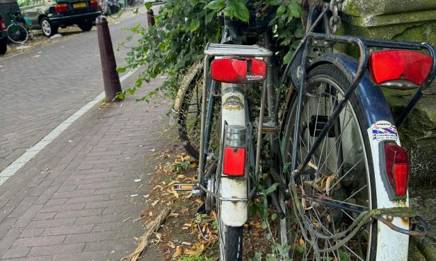 Fietsdag laat twee gezichten zien in Amersfoort: actie en beleid
