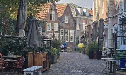 Onveiligheid voor vrouwen tijdens het uitgaan. Welke maatregelen nemen de horecaondernemers?