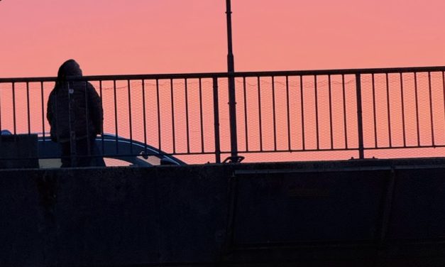 Straatadvocaat pleit voor gescheiden opvang dakloze vrouwen en -meisjes