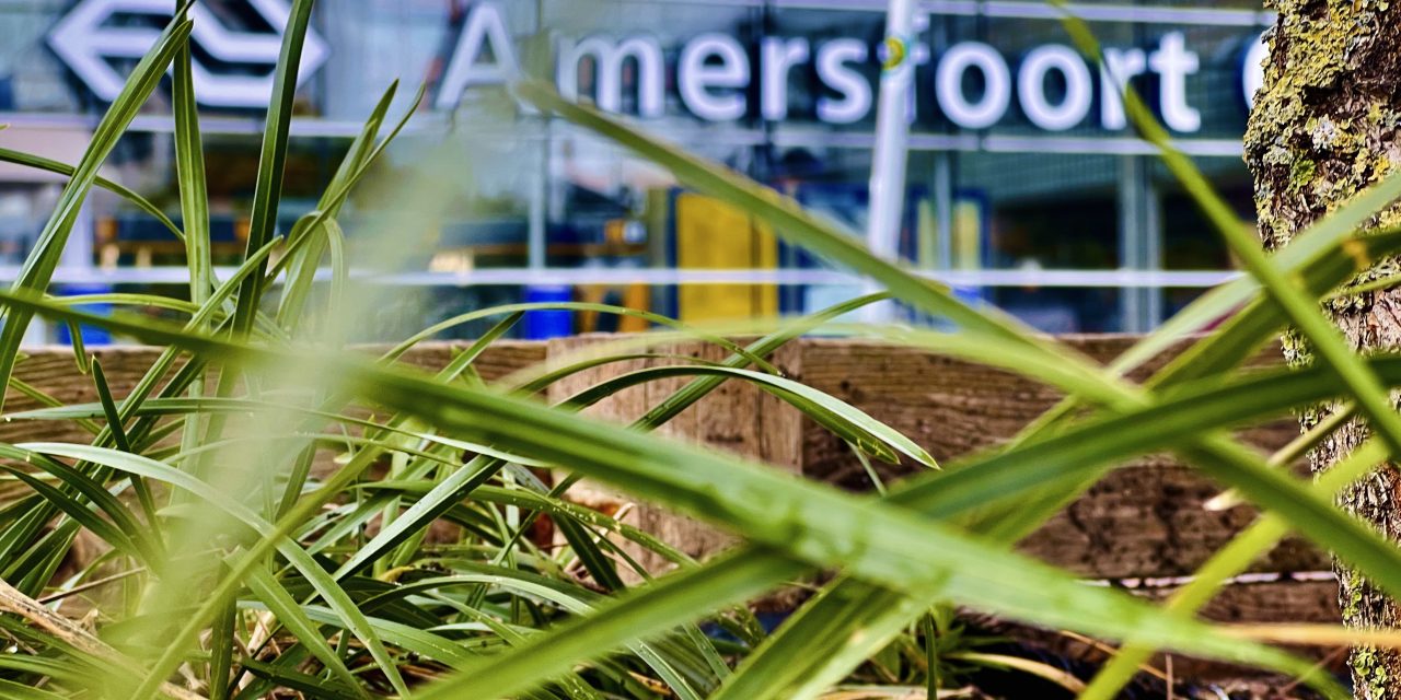 Gemeente Amersfoort gaat voor groen