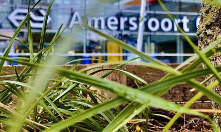 Gemeente Amersfoort gaat voor groen