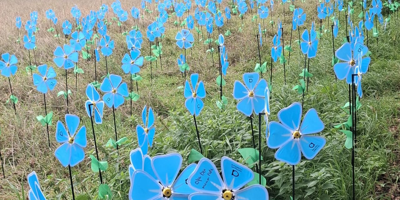 HerinneringenRit 2025: De ervaring van de deelnemer