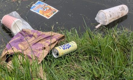 World Cleanup Day met Lakeside SUP