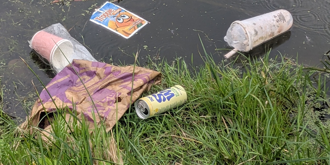 World Cleanup Day met Lakeside SUP