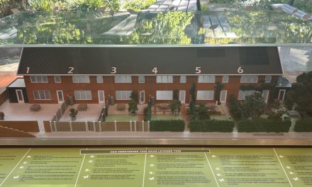 Advies over het vergroenen van je tuin tijdens workshop door professionals