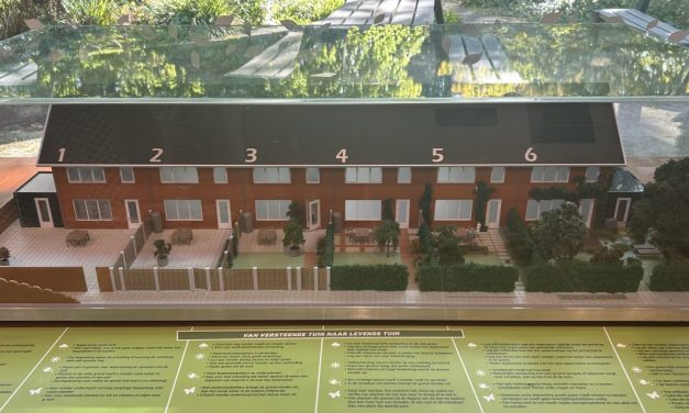 Advies over het vergroenen van je tuin tijdens workshop door professionals