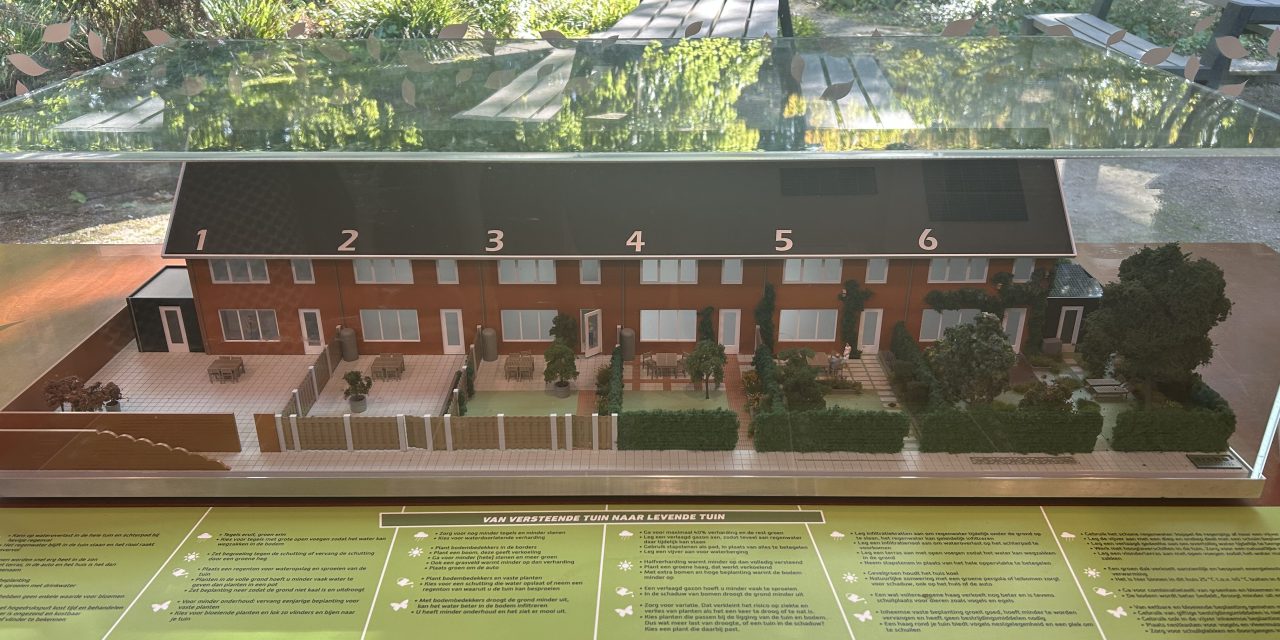 Advies over het vergroenen van je tuin tijdens workshop door professionals