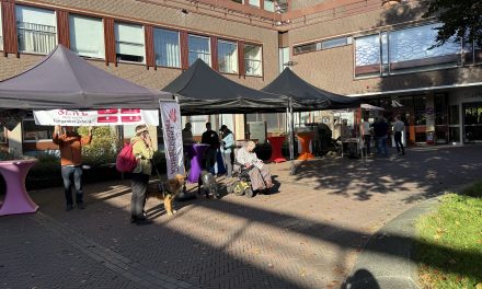 Diversiteit vieren in Amersfoort: ontmoeting en inclusie centraal