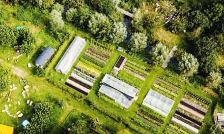 Impact033 organiseert een bijeenkomst voor inwoners, organisaties en gemeente Amersfoort. ‘Wij zijn niets anders dan de lijm van de samenleving.’