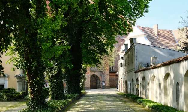 Eemklooster zoekt evenwicht: wonen en recreëren zonder verlies van natuur