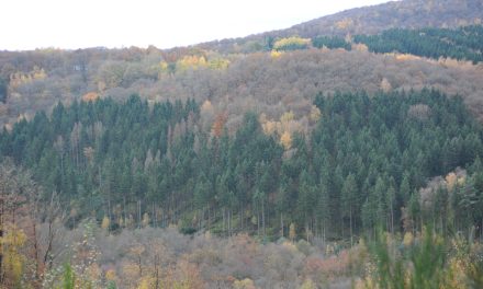 Gladheid in Amersfoort