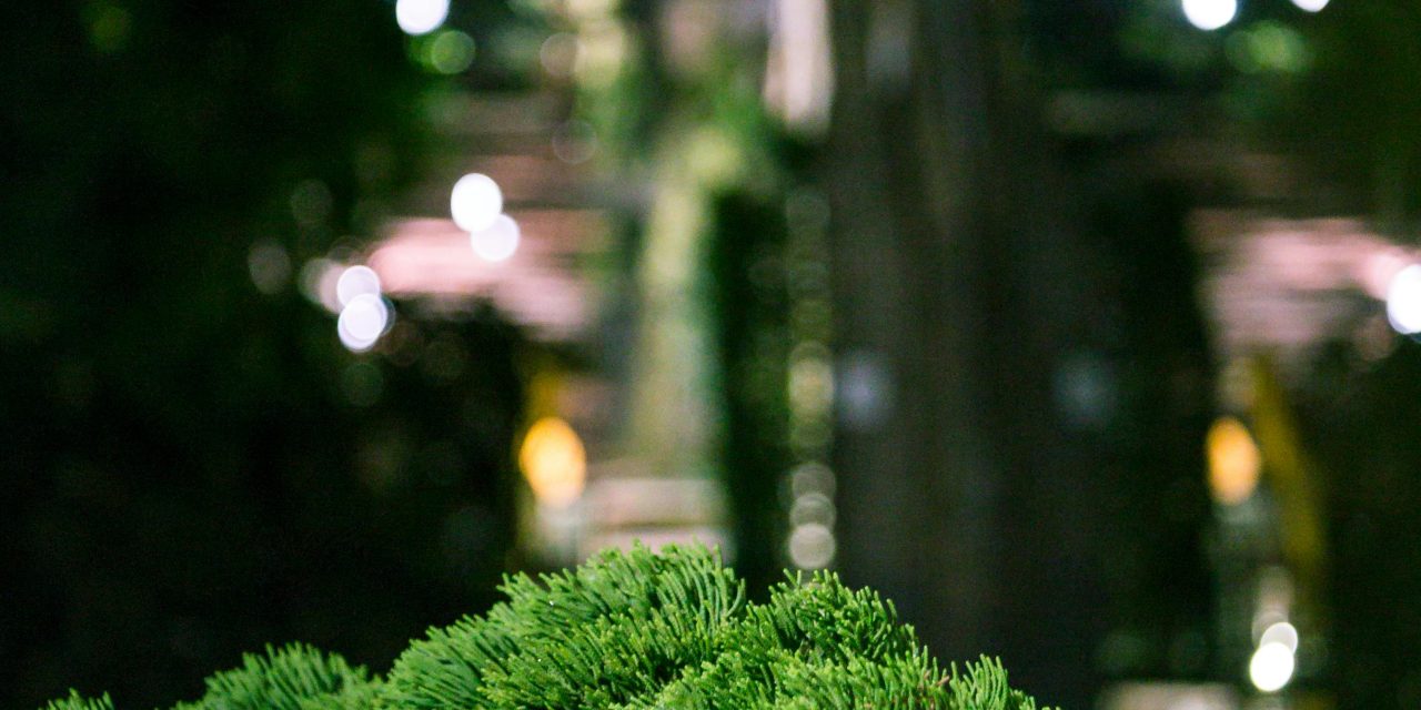 Groenoffensief Amersfoort bereikt Hellestraat en Stadsring