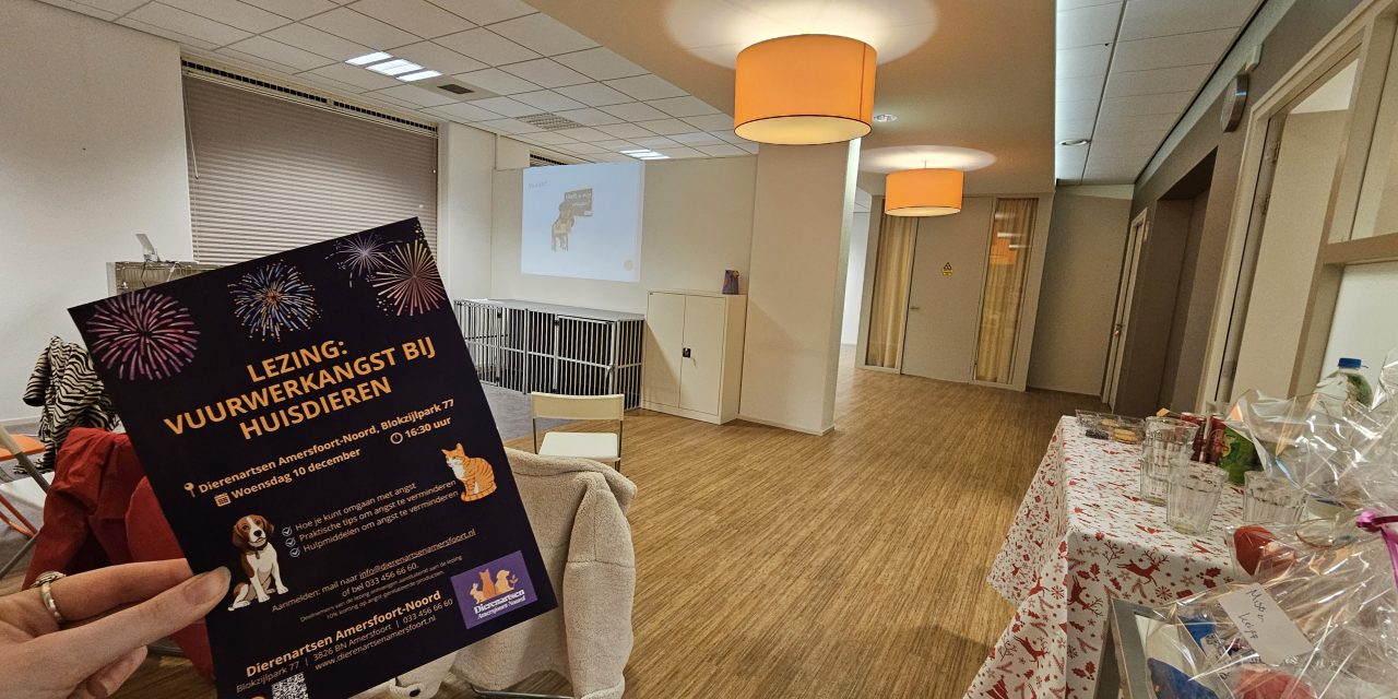 Dierenartsen Amersfoort-Noord over vuurwerkangst: ‘Zo geef je een positieve draai aan een harde knal.’
