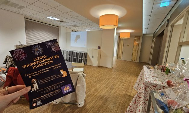 Dierenartsen Amersfoort-Noord over vuurwerkangst: ‘Zo geef je een positieve draai aan een harde knal.’