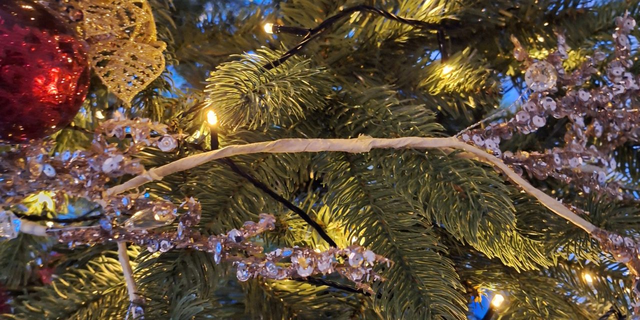 Kerstbomendrank en winterbiertjes 