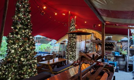 Kerstplantsoen met kerstbomendrank en hot toddy’s