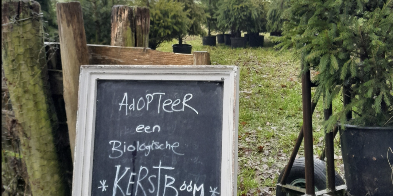 Campagne Adopteer een kerstboom in Amersfoort weer gestart