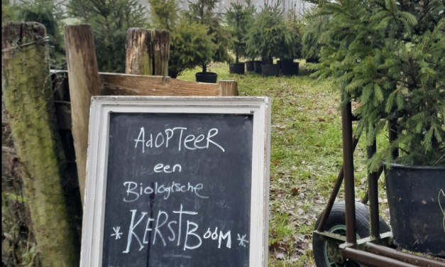 Campagne Adopteer een kerstboom in Amersfoort weer gestart