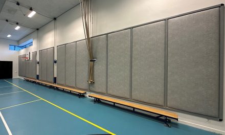 Trefbal maakt verrassende comeback: klassieke gymsport verovert volwassenen in Amersfoort