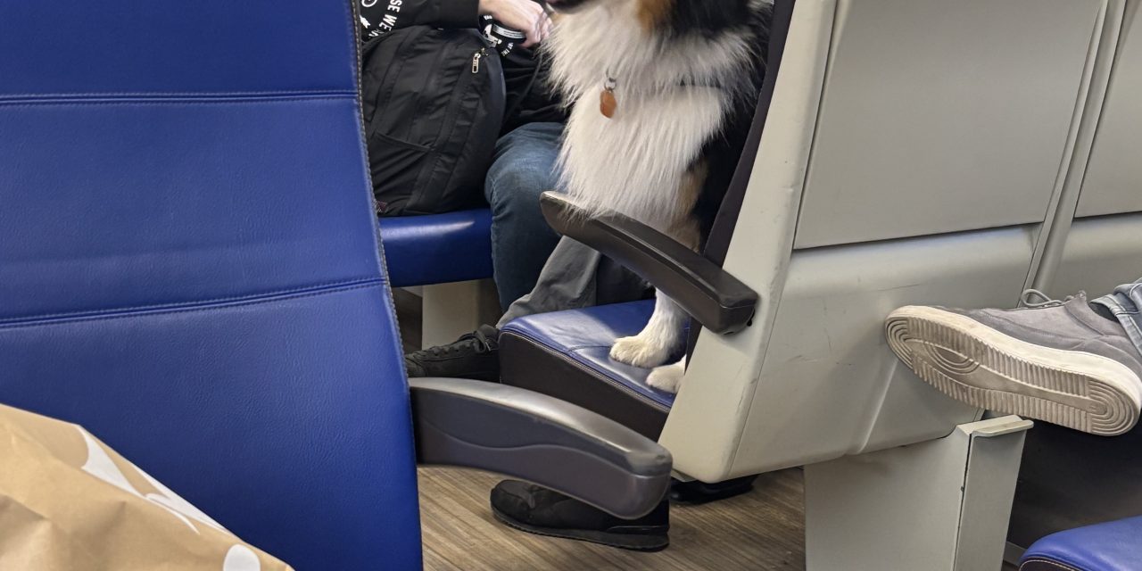 Alweer gezeik met de treinen