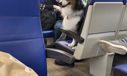 Alweer gezeik met de treinen