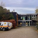 Een wollige bollige Golden Retriever als kerstcadeau?