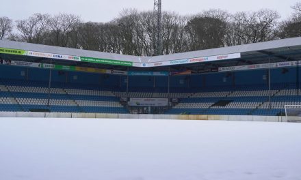 Stilte op het veld: Doetinchem in winterse omstandigheden
