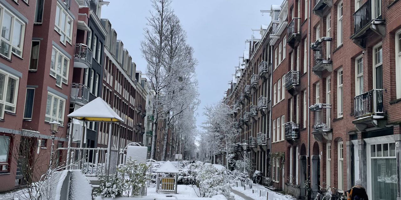Sneeuw in de stad: hoe lokale ondernemers het hoofd boven water houden