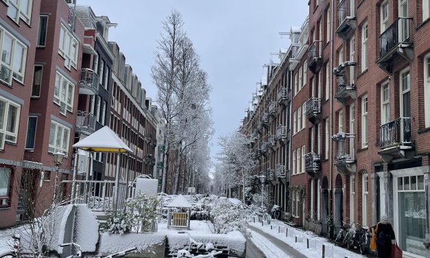 Sneeuw in de stad: hoe lokale ondernemers het hoofd boven water houden