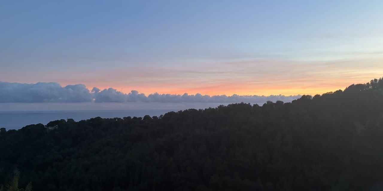 Een Franse bezoeker over DancePort