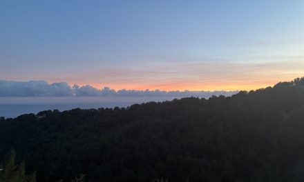 Een Franse bezoeker over DancePort