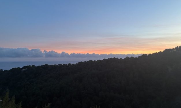 Een Franse bezoeker over DancePort