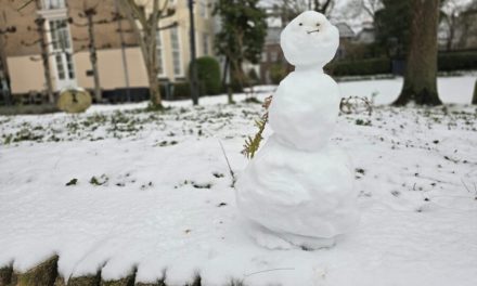 Sneeuwpret in Nieuw-Vennep