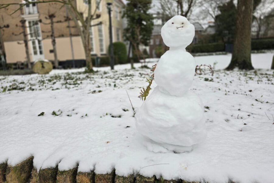 Sneeuwpret in Nieuw-Vennep