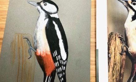 Interview met Lisa over de Workshop Aquarel – Vogels