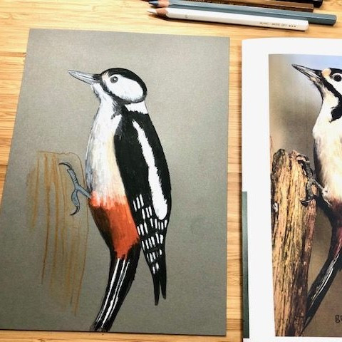 Interview met Lisa over de Workshop Aquarel – Vogels